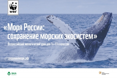 «Моря России: сохранение морских экосистем»